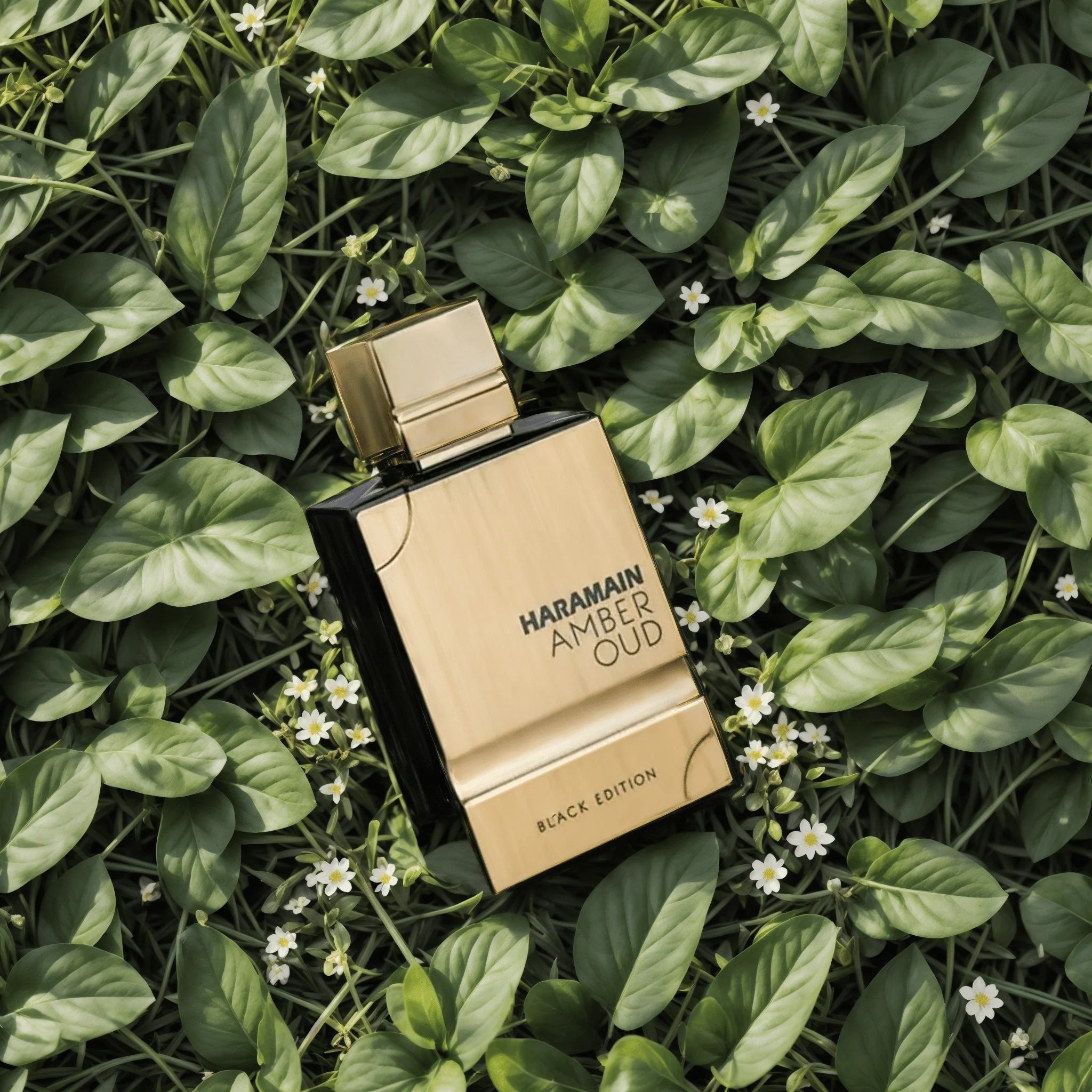 Haramain Amber Oud Black Edition