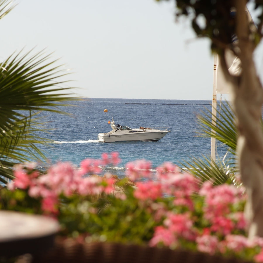 Ajwa by Al Haramain The Fresh Floral Beast