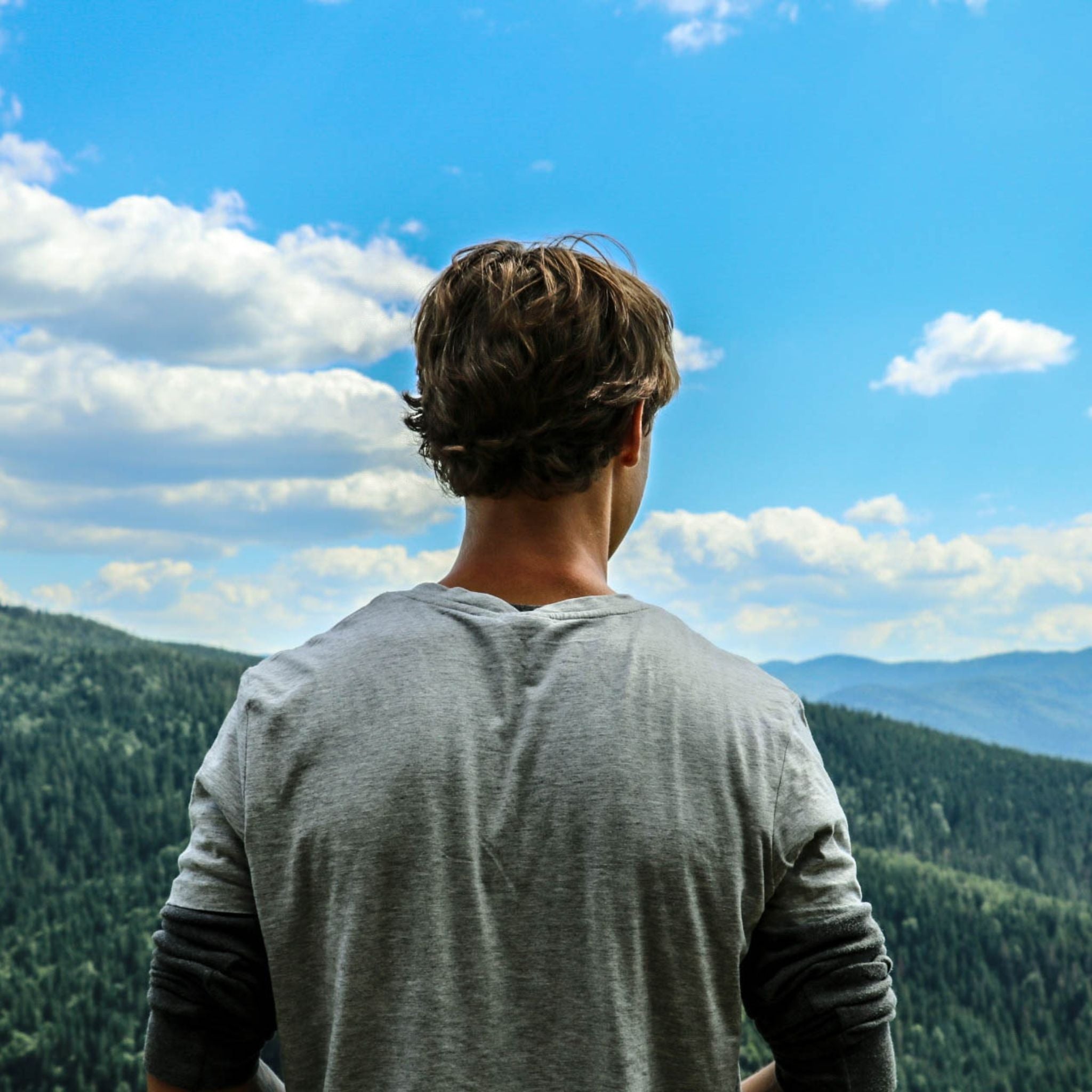 Best Creed Aventus Clones