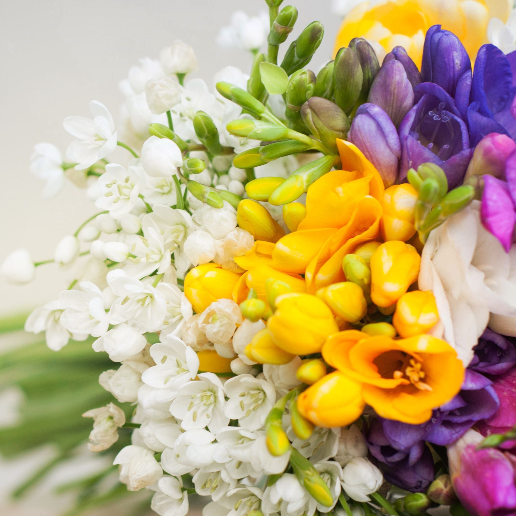 Best Freesia Perfumes_ A Celebration of Light, Airy Florals