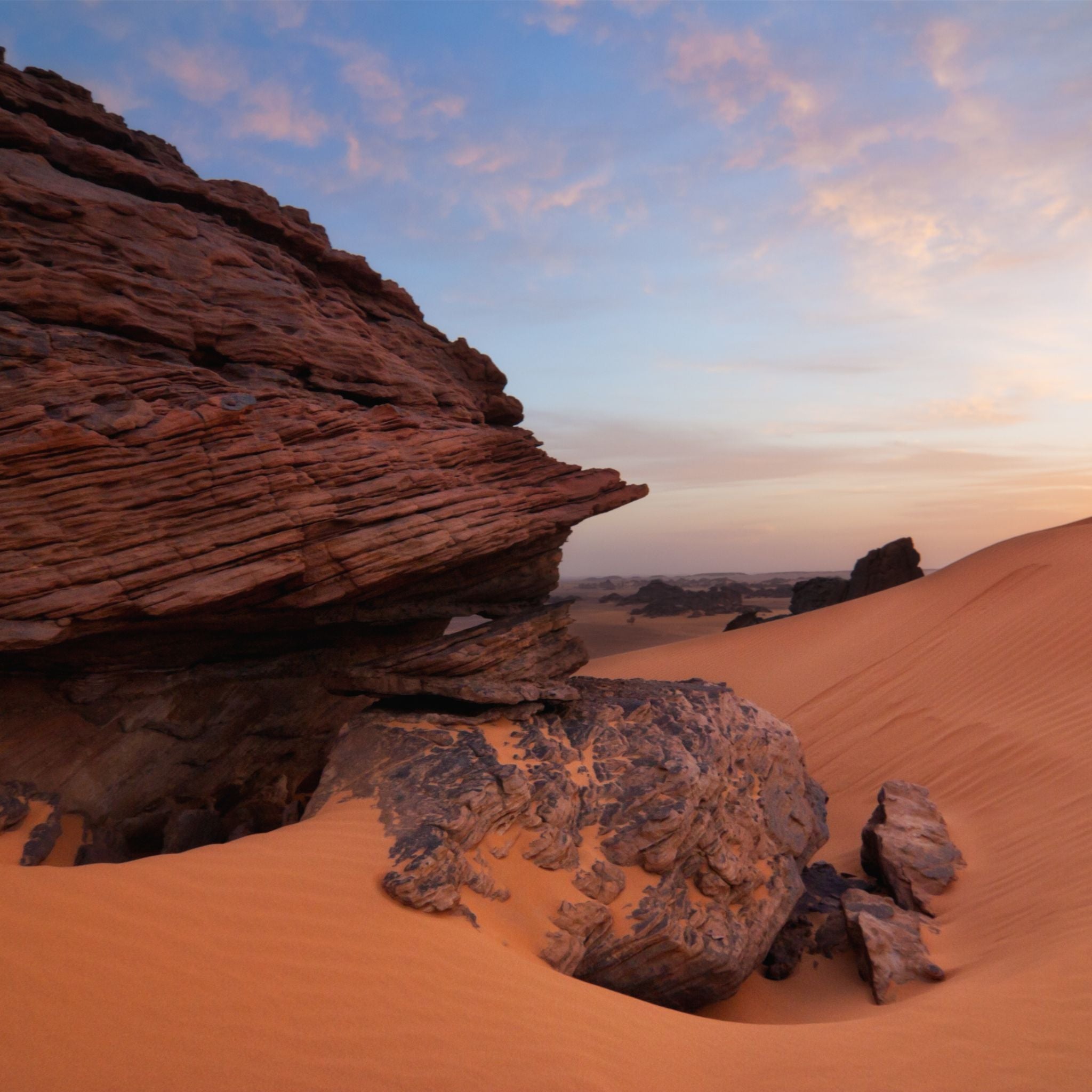 Desert Dreams_ A Journey Through Al Haramain’s Alf Zahra, Remember Me, and Twin Flower