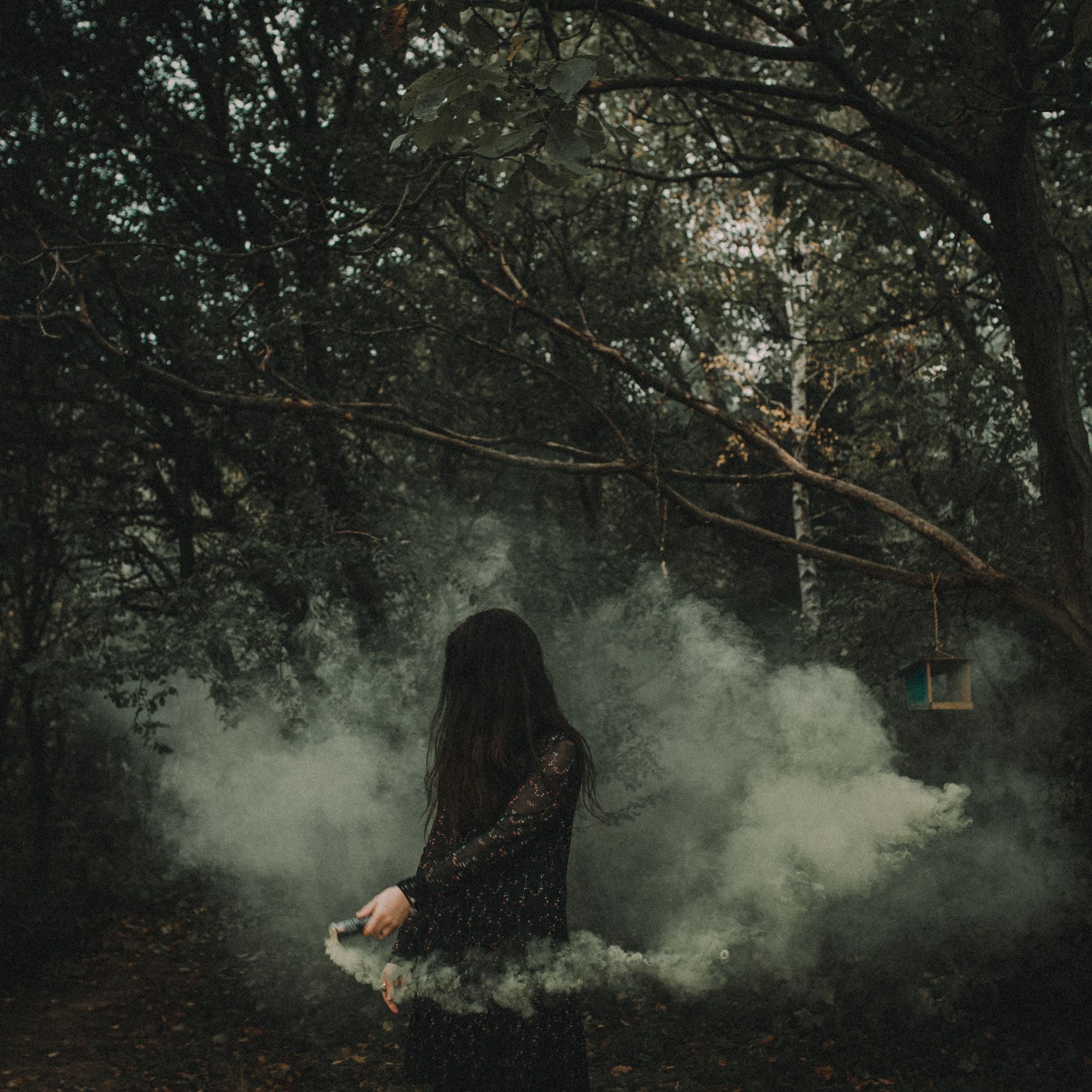 Exploring Al Haramain’s Dehnal Oudh Prachinpuri