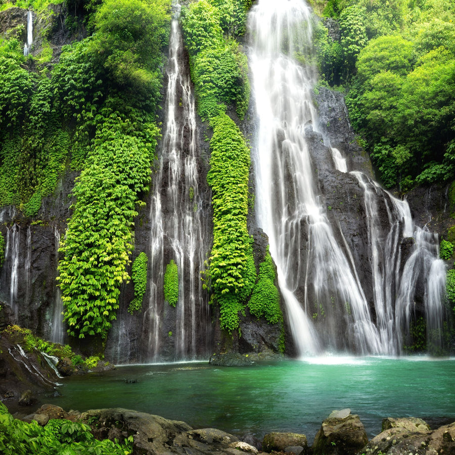 Junoon Oud – A Long-Lasting, Fresh Take on Oud