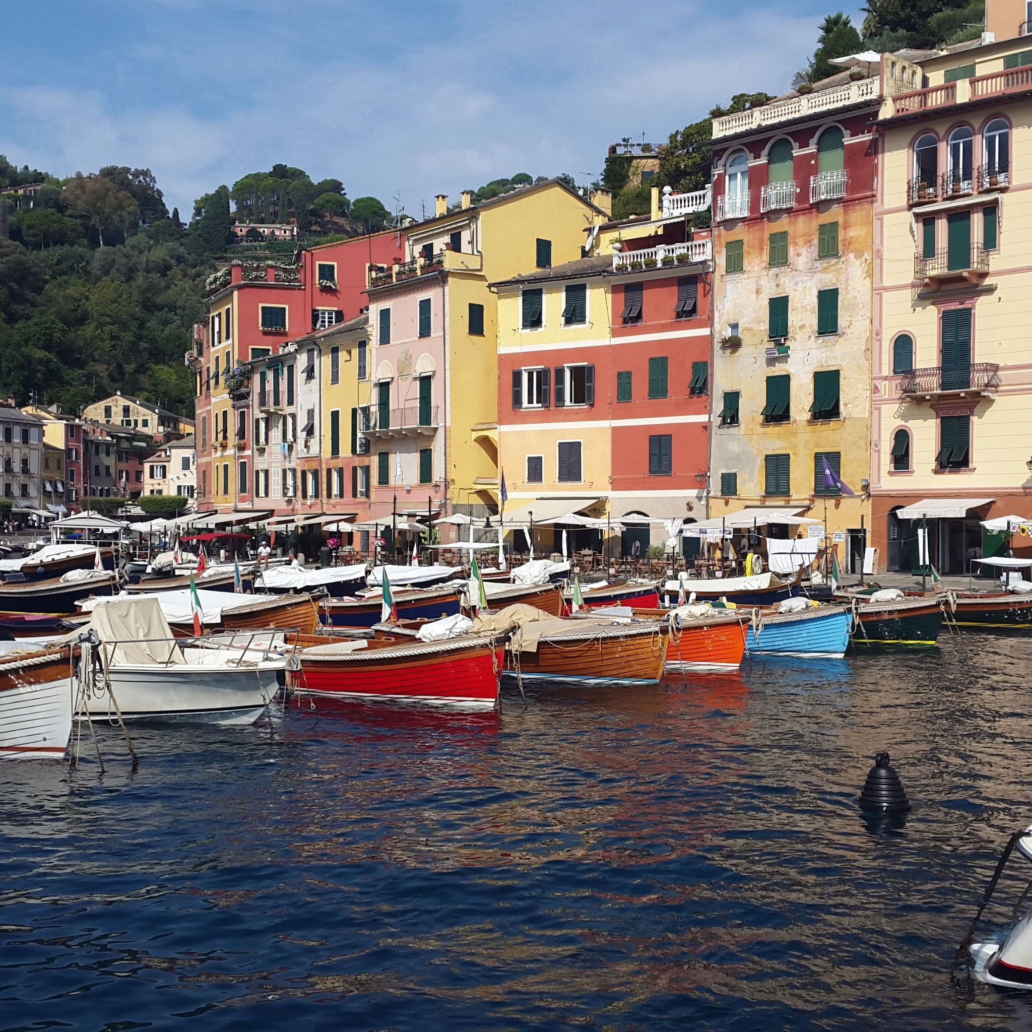 Neroli Canvas – A Fresh, Lasting Take on Portofino