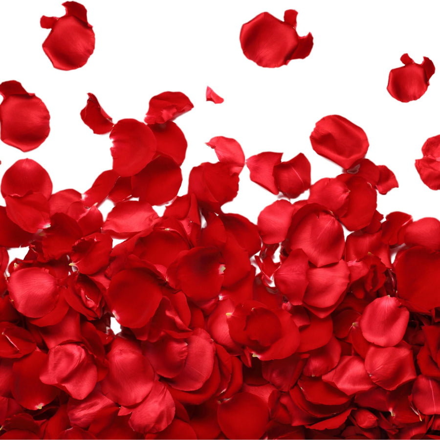 The Emotions of L’Aventure Rose Perfume Review