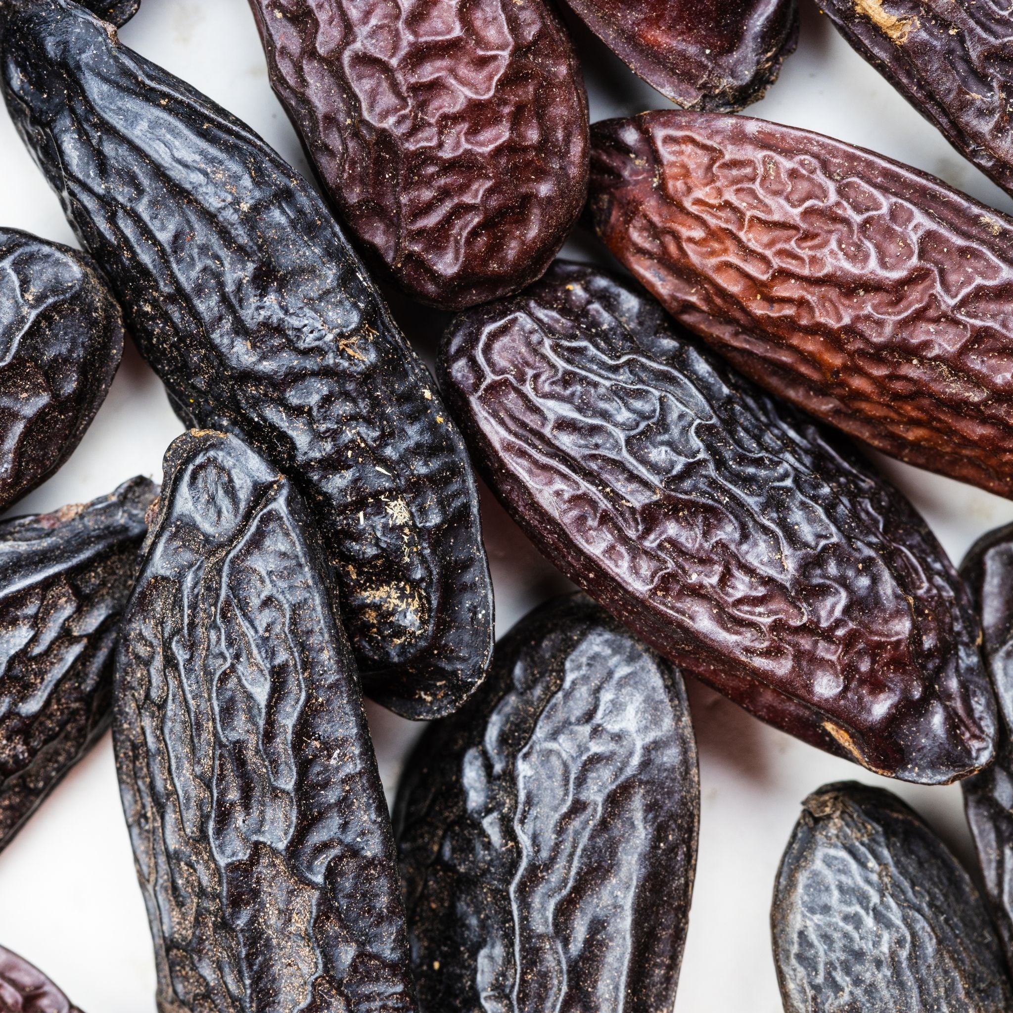 Tonka Bean Scent Perfume Review