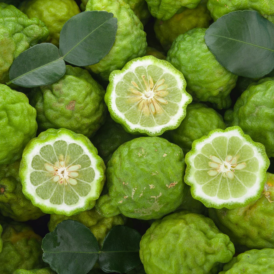 What Does Bergamot Smell Like Perfume Review