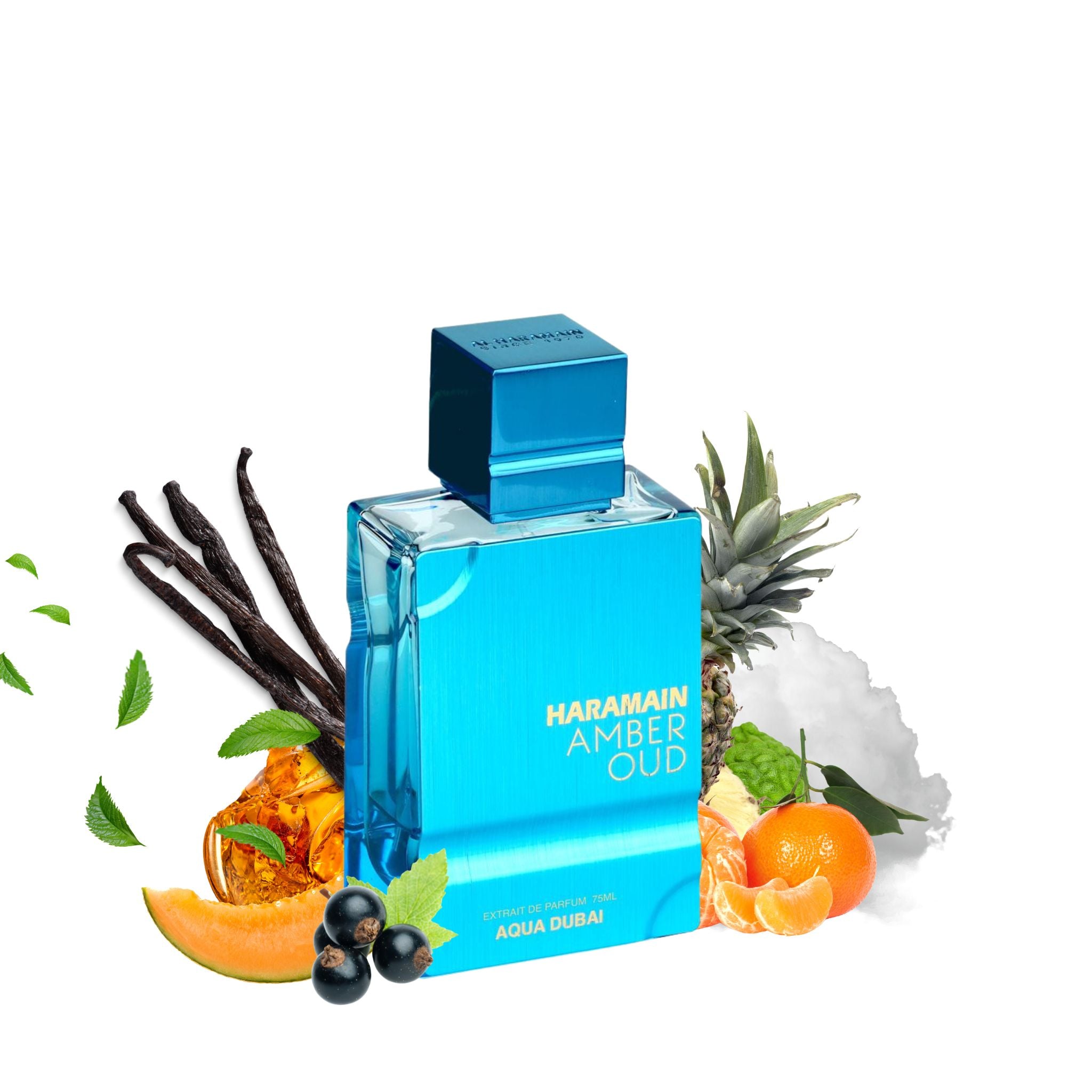 Amber Oud Aqua Dubai perfume